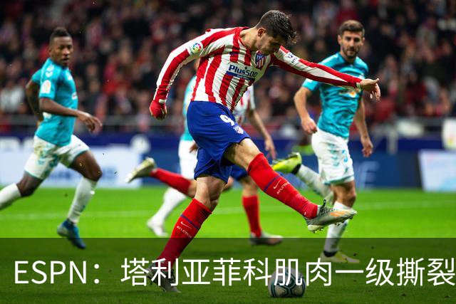 ESPN：塔利亚菲科肌肉一级撕裂，至少缺席世界杯前两场小组赛